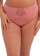 Close up of Elomi Cate Full brief in Rose wood