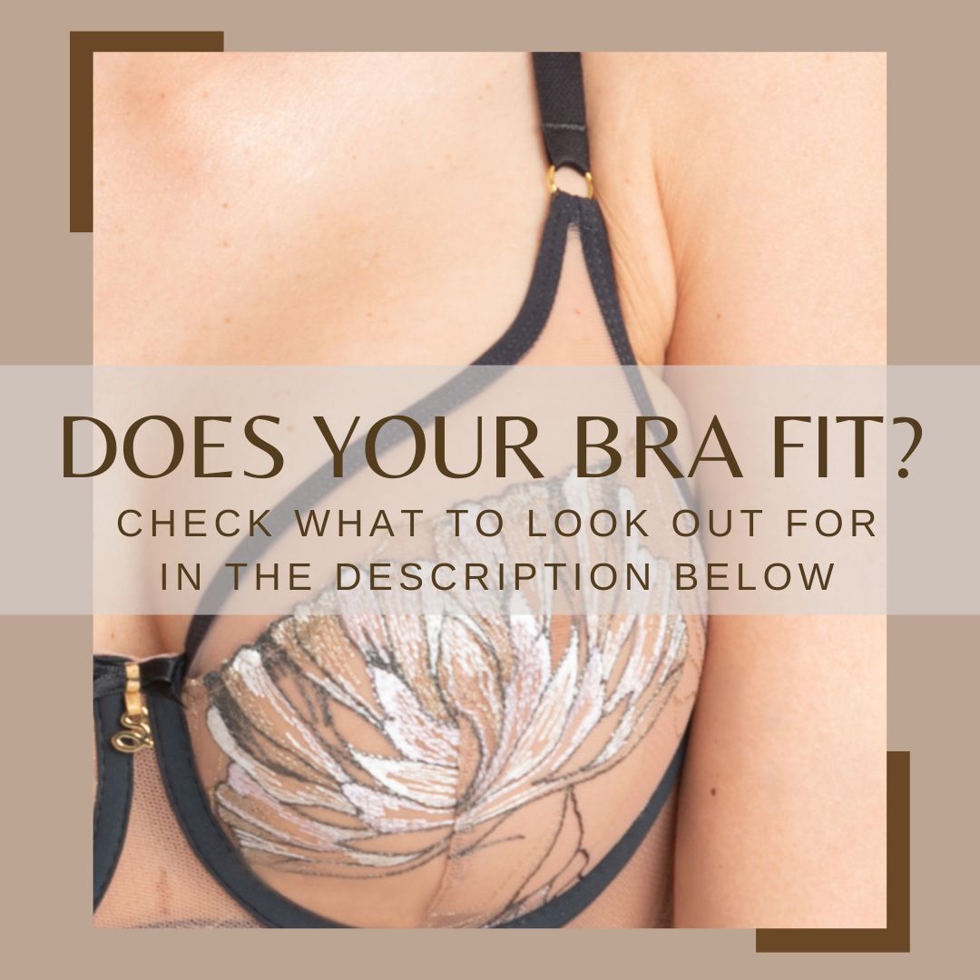 Know if your Bra really fits once and for all